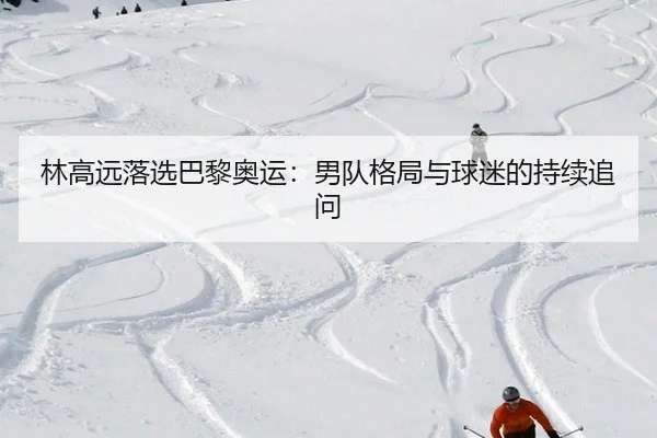 林高远落选巴黎奥运：男队格局与球迷的持续追问